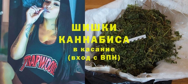 стаф Горнозаводск